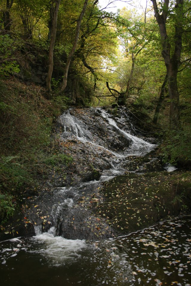 Harma Wasserfall Fischbach 2021