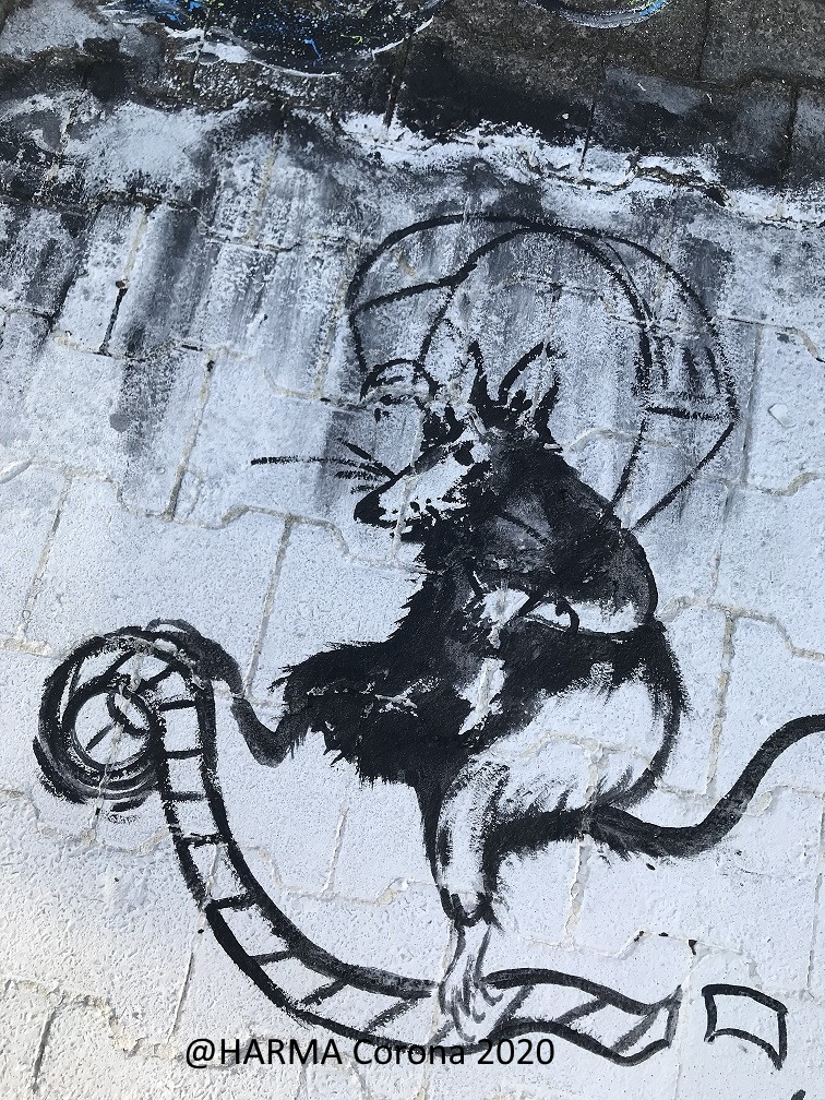 Harma Ratten 7
