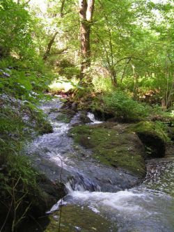 F Wasserfall 2007 1