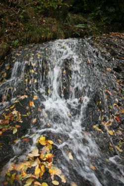 F Wasserfall 2007 5