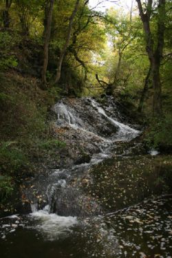 F Wasserfall  2007 2